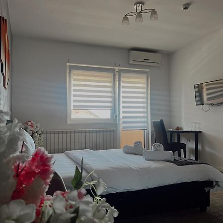 Kengur Resort Belgrado Esterno foto